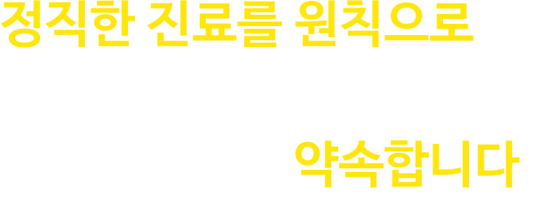 20년 경력