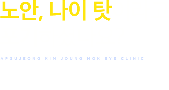 20년 경력